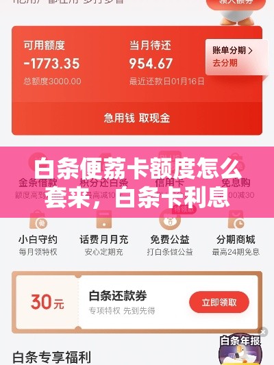 白条便荔卡额度怎么套来,白条卡利息怎么算