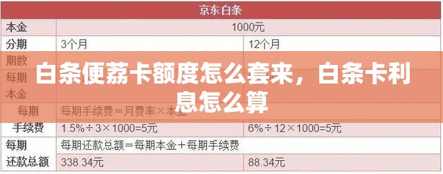 白条便荔卡额度怎么套来,白条卡利息怎么算
