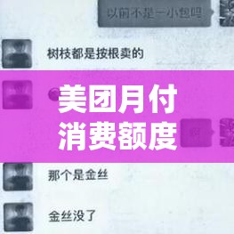 美团月付消费额度怎么套,美团月付钱怎么套出来