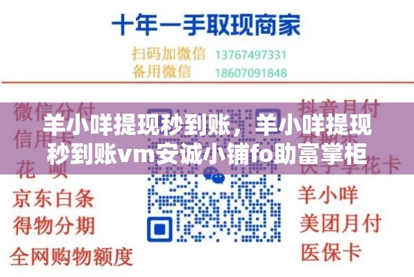 羊小咩提现秒到账,羊小咩提现秒到账vm安诚小铺fo助富掌柜