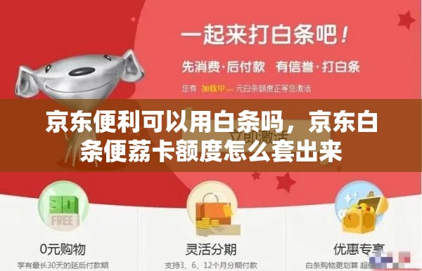 京东便利可以用白条吗,京东白条便荔卡额度怎么套出来