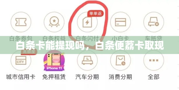 白条卡能提现吗，白条便荔卡取现
