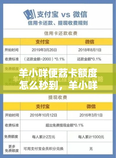 羊小咩便荔卡额度怎么秒到，羊小咩额度提现商家