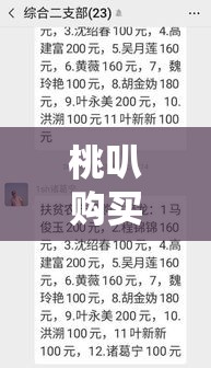 桃叭购买记录怎么看,桃买买购物额度怎么套出来