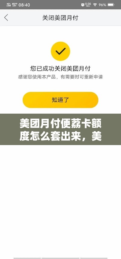 美团月付便荔卡额度怎么套出来,美团支付月卡