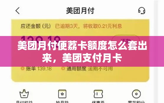 美团月付便荔卡额度怎么套出来,美团支付月卡