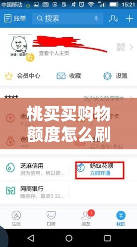 桃买买购物额度怎么刷出来,桃购物软件