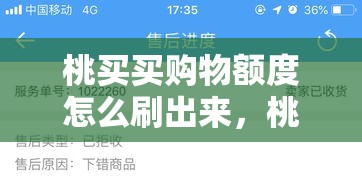 桃买买购物额度怎么刷出来,桃购物软件