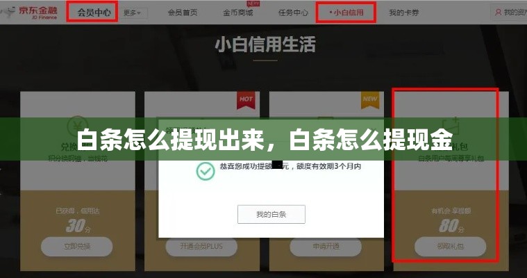 白条怎么提现出来,白条怎么提现金