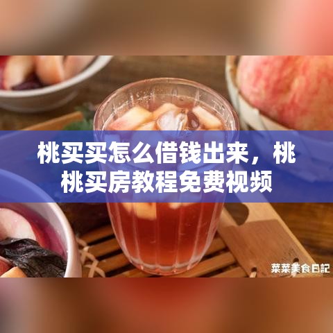 桃买买怎么借钱出来，桃桃买房教程免费视频