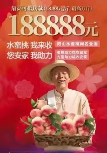 桃桃买房教程视频,桃买买取现秒到