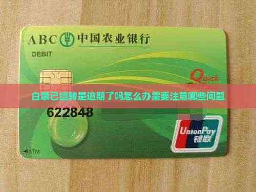 白条便荔卡取现，白条卡怎么使用