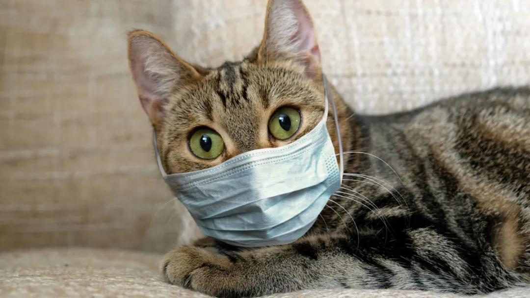 铜玄关定制,通州玄关柜定制十大排名