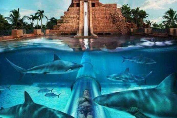 世界上知名手榴弹排名前十,世界上的手榴弹