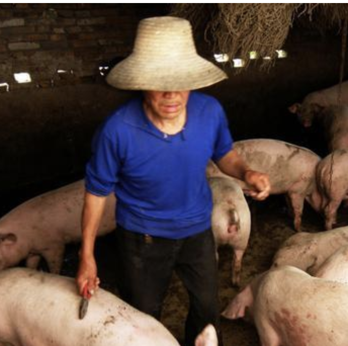 隔断屏风品牌十大排名最新,隔断屏风品牌十大排名