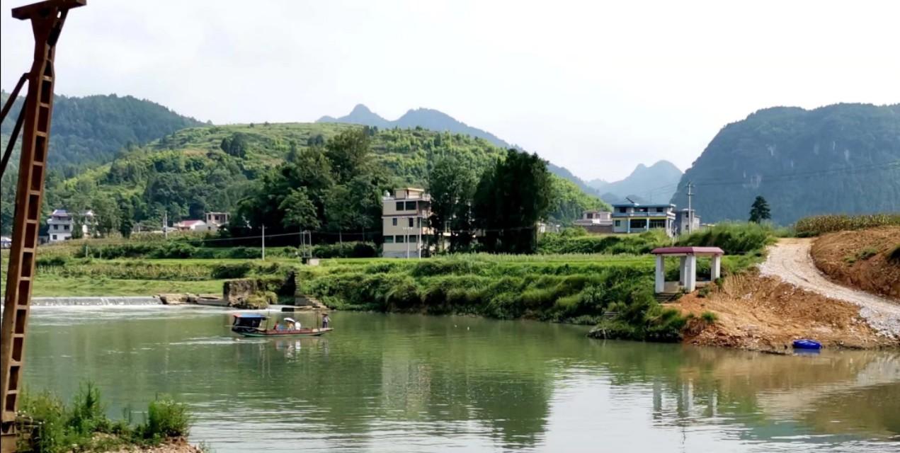 虎皮青椒好听的菜名，下饭菜十大排名虎皮青椒