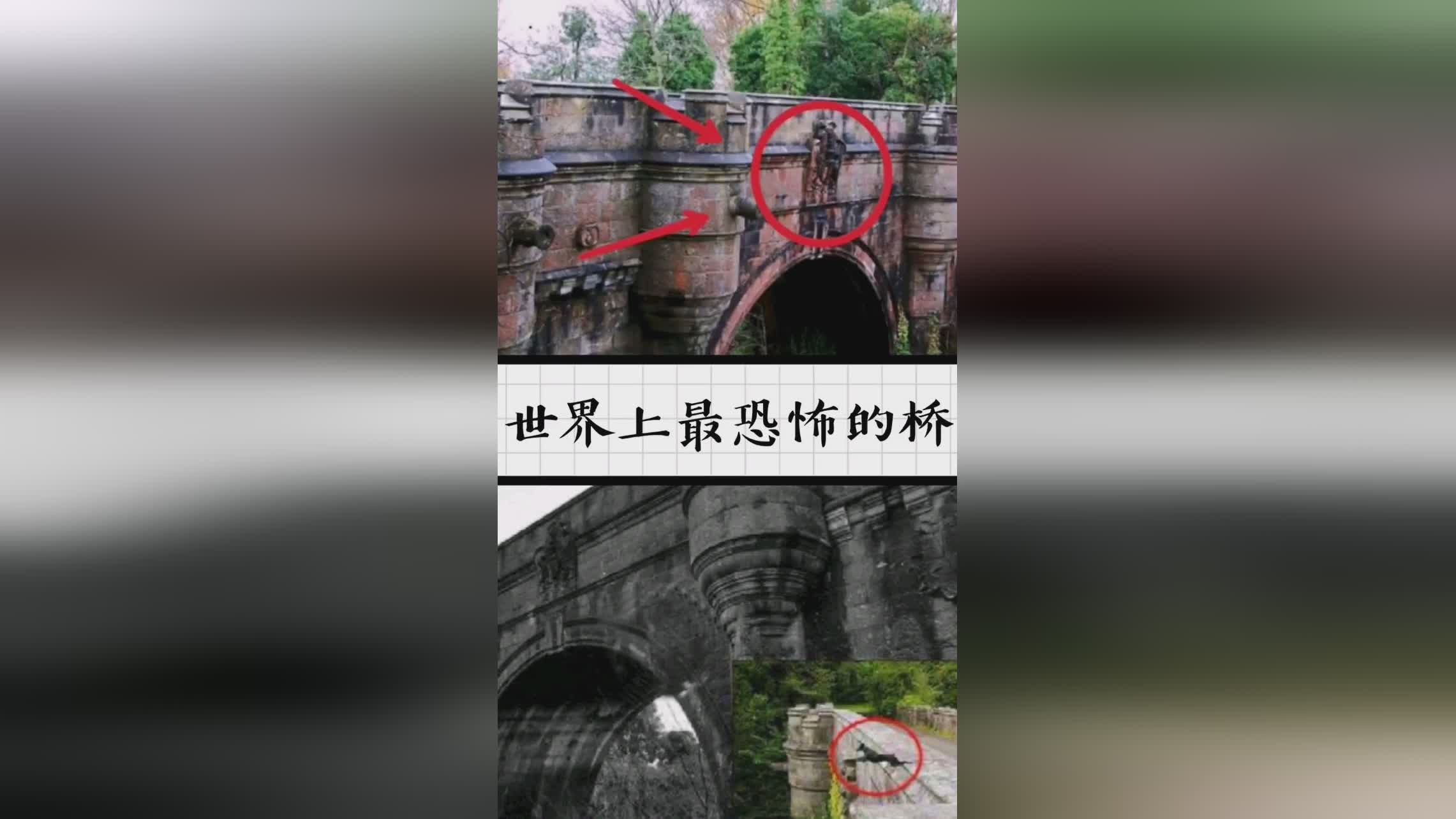 2024最火中国汉服,2021 汉服