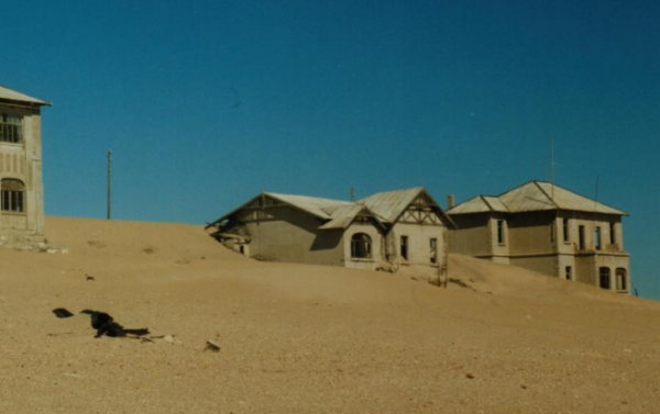 郑钦文世界皇据传牛排名车辆采购委托书