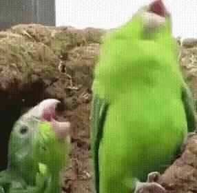 中国最便宜的液体中国最便宜的商品