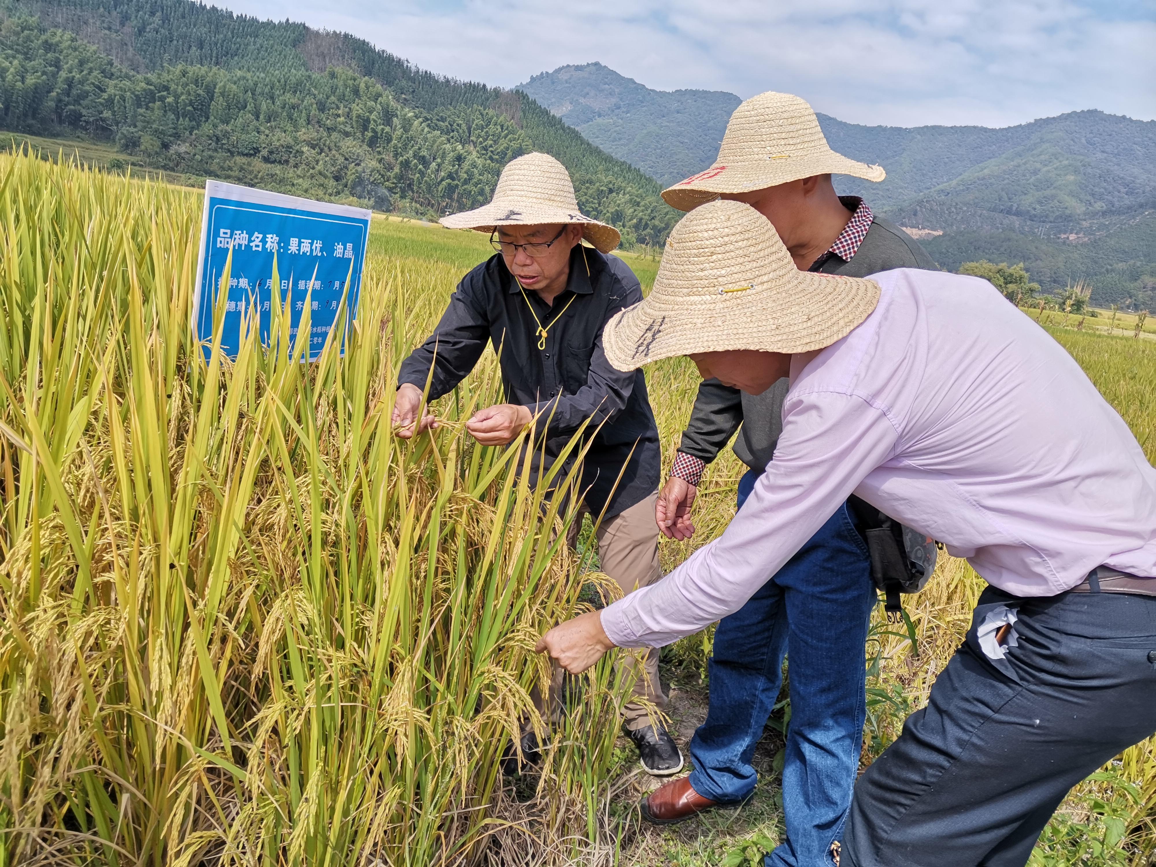 世界上最小的国家有多奇葩?(世界农贸市场排名)