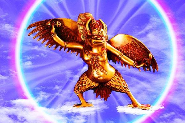 如何饲养黄鹂ɸ中国最名贵的鸟