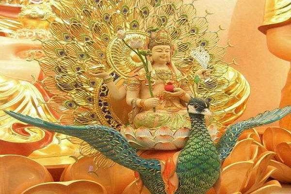 国产镜框十大排名,国产镜框十大排名品牌