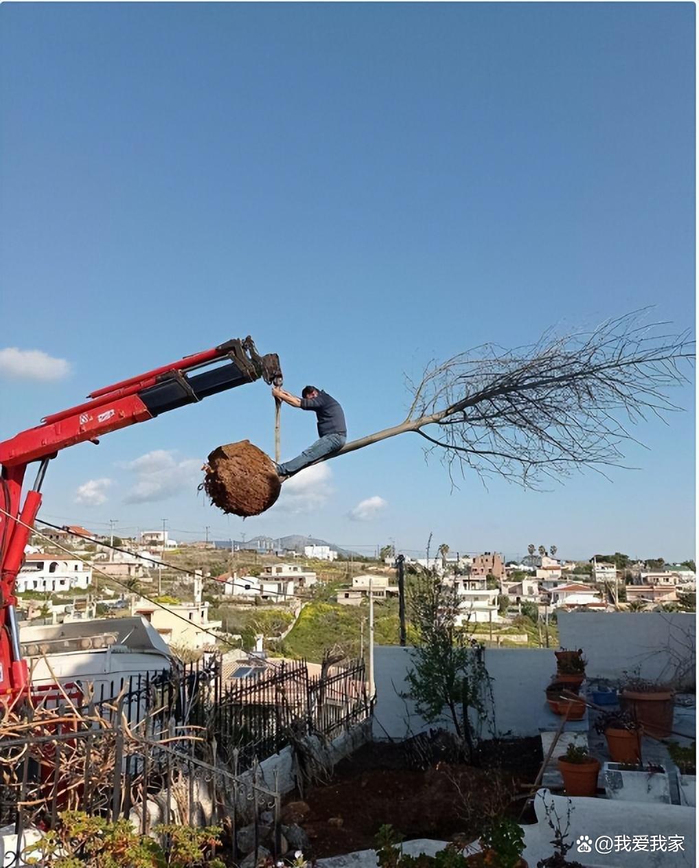 男人疯狂地搞各种作死行为，为何始终在死亡边缘徘徊却死不掉？世界上最疯狂的人是什么