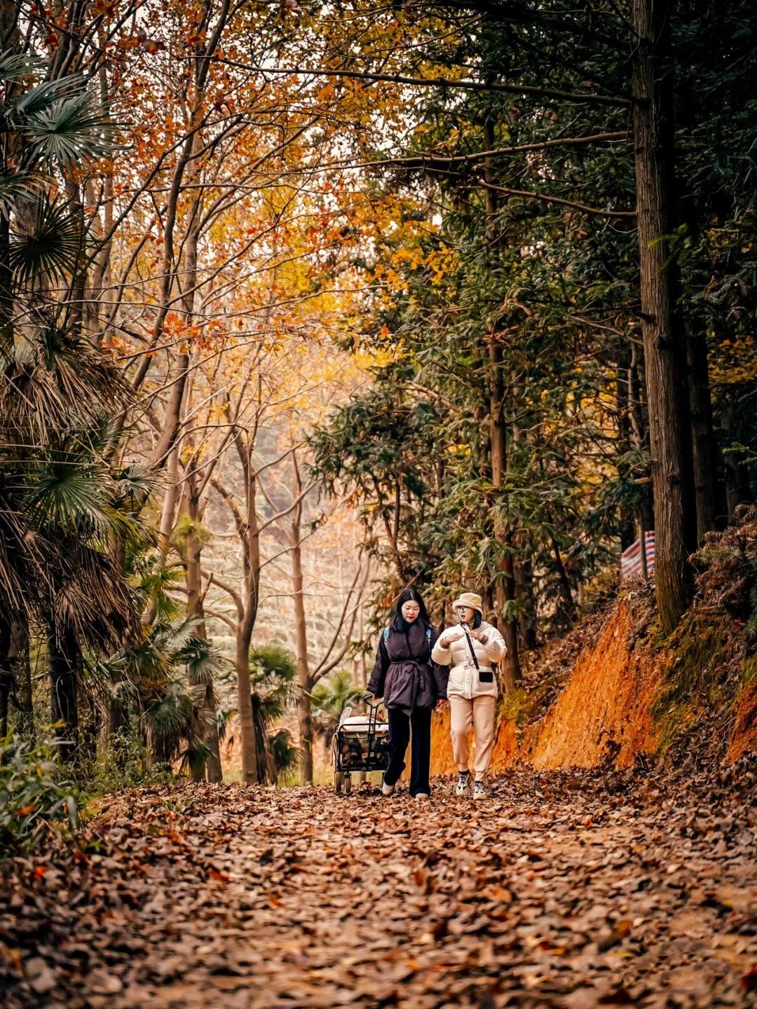 世界上最牛蒸汽火车,世界上保留最好的蒸汽火车——普芬蒸汽火车