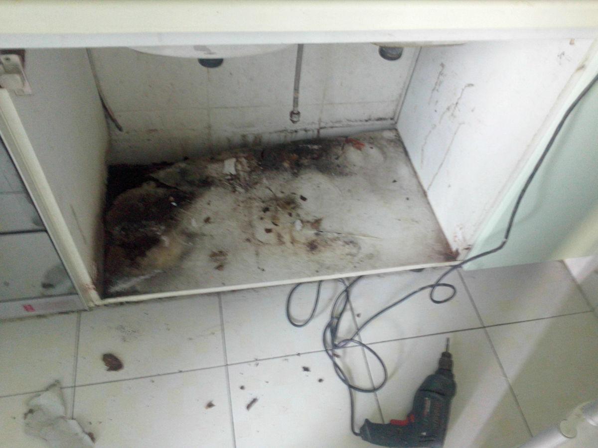 监狱警察调动一般到哪些单位(青岛大名教育)