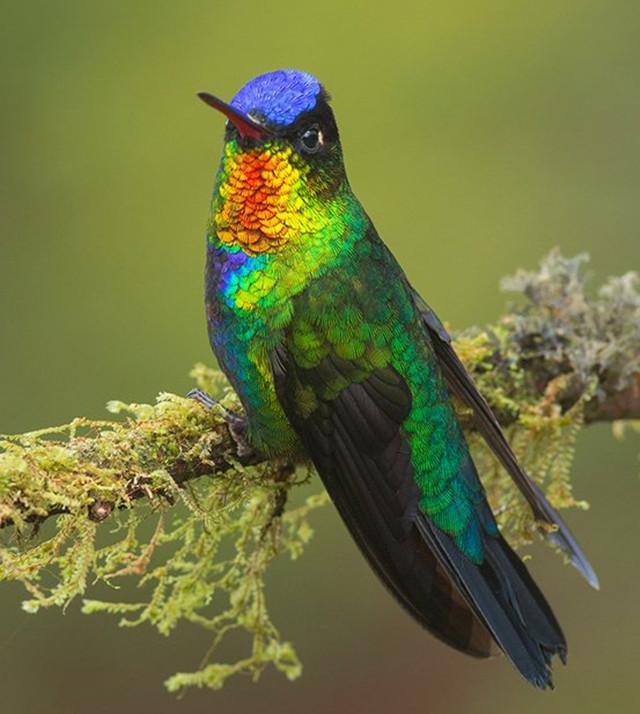 世界最小的企业排名前十最小的企业叫什么