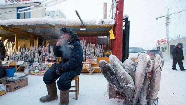 最新冰箱排行榜(世界公认三大品牌冰箱)世界冰箱前10名排名