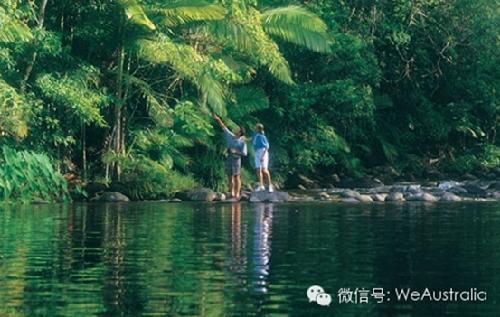 世界上最主要的几个热带雨林?(世界上最大的雨林叫什么)