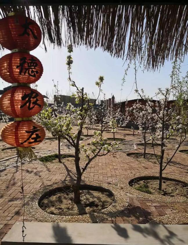 中国马房十大排名品牌,北安普顿大学有谁了解的吗？