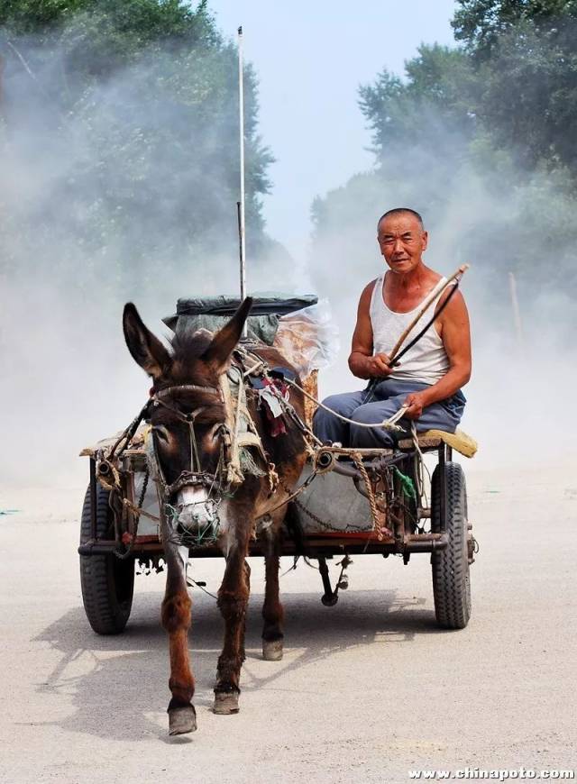 世界上最赶驴的车,古代的“战车”是谁最先发明的？