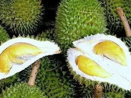 世界上最臭东西排名世界上臭味排名前十的物品都有啥?