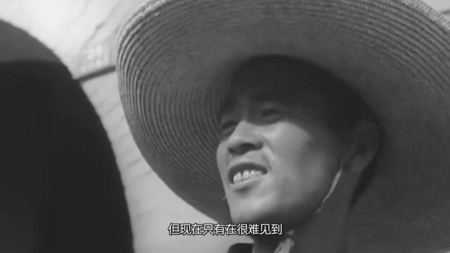 中国最珍贵的视频（中国最珍贵的食材）