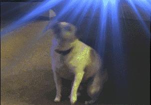 堪称世界上最狠的人（世界上最狠的人物）