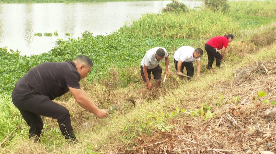 现今最年长中国党员至今仍健在的5位开国将军，最年轻的100岁，最年长的已经110岁