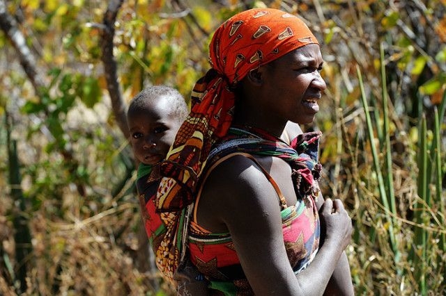 宠物餐垫品牌十大排名，宠物餐垫品牌十大排名榜