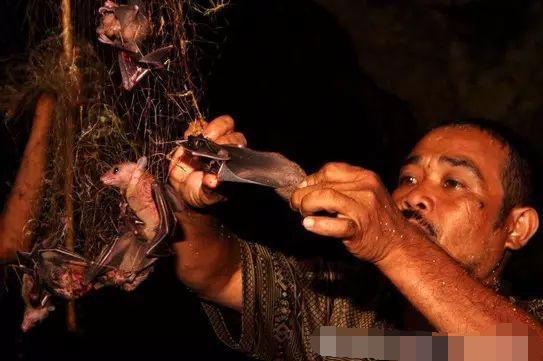 世界最恶心的十大食物(世界上最恶心的是什么)