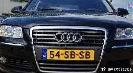 世界上最坑的车牌买车避坑之临时车牌