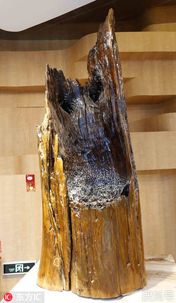 世界前十瑞文排名，世界锐雯排名