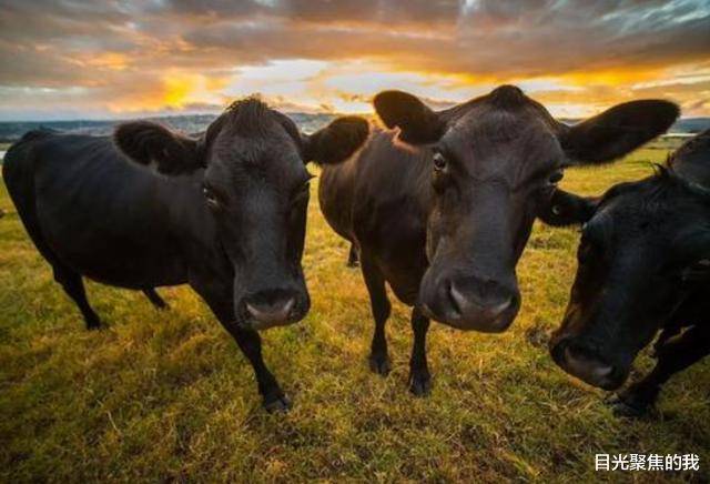 最名贵的纸张的种类和介绍、以及用途中国最牛三个博物馆