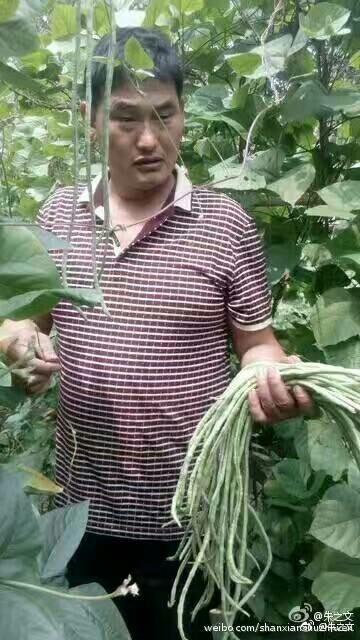 中国最狂妄的歌手身上没有半点嘻哈味道的欧阳靖，却成为嘻哈圈的偶像，原因有什么？