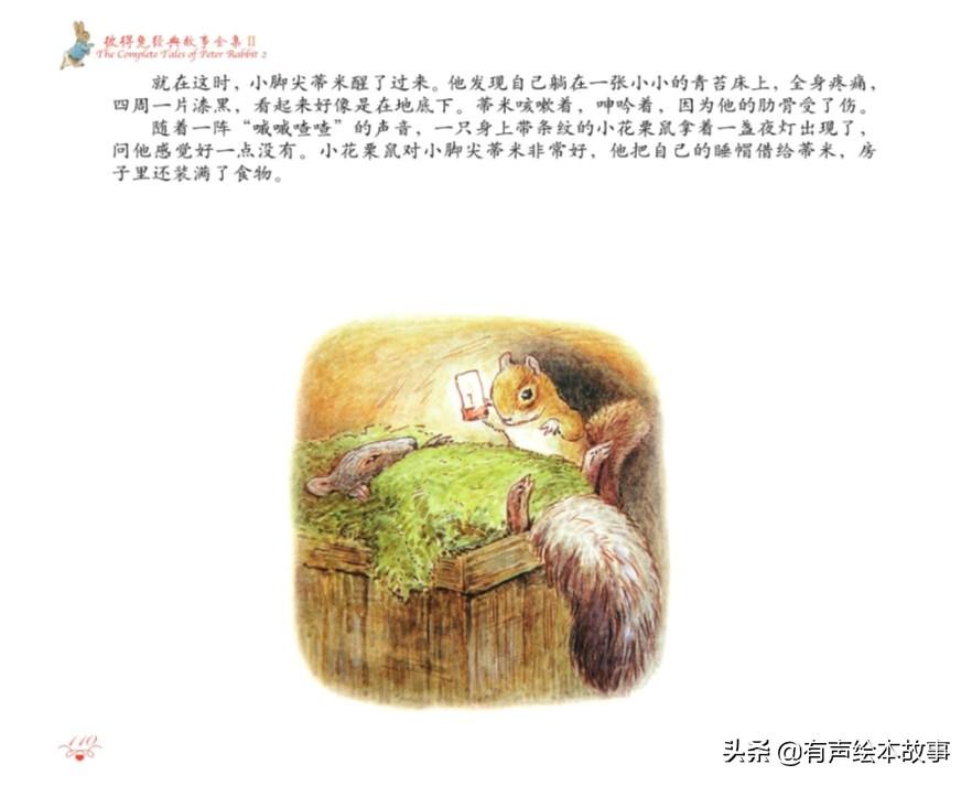 世界上最凶兔子图片,世界上最凶狠的兔子