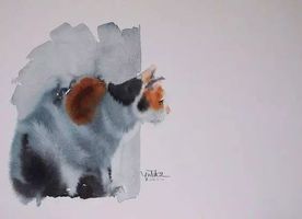 中国最淘气的猫是什么猫幼年布偶猫是不是都很淘气 为什么那么调皮