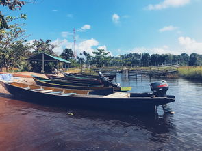 世界天然运河排名前十(世界闻名的运河)