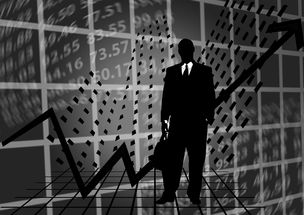 世界上最奇葩越狱（世界上最有名的越狱）