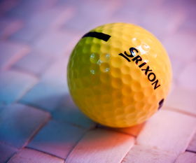 兵乓球世界前十排名榜图片，兵乓球世界前十排名榜