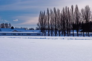 详细阅读:世界前十大草原文案短句,适合大草原的句子 世界前十大草原文案短句,适合大草原的句子